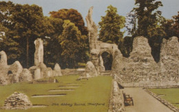 The Abbey Ruins, Thetford - Norfolk - Unused Saucy Postcard - National Series -N1 - Norwich