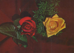 FLOWERS Vintage Postcard CPSM #PAS178.GB - Flores