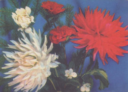 FLOWERS Vintage Postcard CPSM #PAR697.GB - Flores