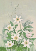 FLOWERS Vintage Postcard CPSM #PAR457.GB - Flores