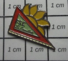 411B Pin's Pins / Beau Et Rare : MARQUES / FSE LA CARRIERE EQUERRE ET SOLEIL - Marche