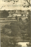 Carte Postale Coulanges-sur-Yonne Vue Prise Du Bois De Sapins EDSA - Coulanges Sur Yonne