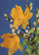 FLOWERS Vintage Postcard CPSM #PAR035.GB - Flores