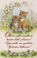 GATO GATITO Animales Vintage Tarjeta Postal CPSM #PBQ924.ES - Gatos