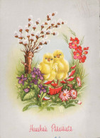 PASCUA POLLO HUEVO Vintage Tarjeta Postal CPSM #PBP255.ES - Easter