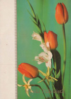 FLORES Vintage Tarjeta Postal CPSM #PAR096.ES - Flowers