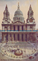 R029819 St. Pauls Cathedral. London. Valentine. Art Colour. No A46 - Altri & Non Classificati