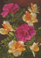 FLEURS Vintage Carte Postale CPSM #PBZ407.FR - Fleurs