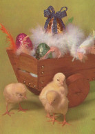 PÂQUES POULET ŒUF Vintage Carte Postale CPSM #PBO633.FR - Easter