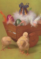 PÂQUES POULET ŒUF Vintage Carte Postale CPSM #PBO821.FR - Easter