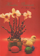 PÂQUES POULET ŒUF Vintage Carte Postale CPSM #PBO755.FR - Easter