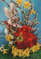 PÂQUES LAPIN Vintage Carte Postale CPSM #PBO381.FR - Easter