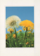 FLEURS Vintage Carte Postale CPSM #PAR339.FR - Flowers