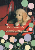 CHIEN Animaux Vintage Carte Postale CPSM #PAN907.FR - Hunde