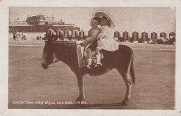 BURRO Animales Niños Vintage Antiguo CPA Tarjeta Postal #PAA347.ES - Donkeys