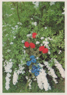 FLOWERS Vintage Ansichtskarte Postkarte CPSM #PBZ708.DE - Fiori