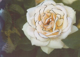 FLOWERS Vintage Ansichtskarte Postkarte CPSM #PBZ588.DE - Blumen