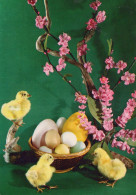 OSTERN HUHN EI Vintage Ansichtskarte Postkarte CPSM #PBO822.DE - Pâques