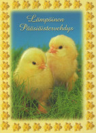 OSTERN HUHN EI Vintage Ansichtskarte Postkarte CPSM #PBP197.DE - Pascua