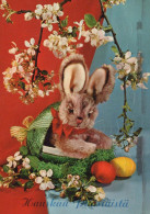 OSTERN KANINCHEN EI Vintage Ansichtskarte Postkarte CPSM #PBO382.DE - Pascua