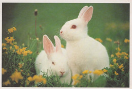 OSTERN KANINCHEN Vintage Ansichtskarte Postkarte CPSM #PBO569.DE - Pâques