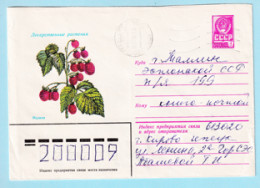 USSR 1979.1009. Raspberry (Rubus Idaeus). Prestamped Cover, Used - 1970-79