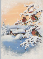 Neujahr Weihnachten VOGEL Vintage Ansichtskarte Postkarte CPSM #PAW447.DE - Año Nuevo