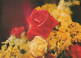 FLOWERS Vintage Ansichtskarte Postkarte CPSM #PAS061.DE - Fiori