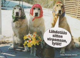 HUND Tier Vintage Ansichtskarte Postkarte CPSM #PAN648.DE - Cani