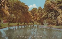 Spring Walks, Thetford - Norfolk - Unused Saucy Postcard - National Series -N1 - Norwich