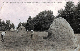 *CPA - 91 - LA VILLE DU BOIS - La Grande Pelouse Du Château Pendant La Fenaison - Autres & Non Classés