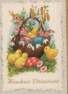 PASQUA POLLO UOVO Vintage Cartolina CPA #PKE077.IT - Pasen