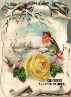 CHROMO CHICOREE ARLATTE OISEAU - Autres & Non Classés