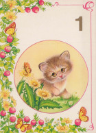 GATTO KITTY Animale Vintage Cartolina CPSM #PBQ866.IT - Gatos