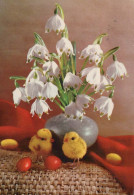 PASQUA POLLO UOVO Vintage Cartolina CPSM #PBP258.IT - Easter