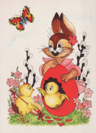 PASQUA CONIGLIO Vintage Cartolina CPSM #PBO445.IT - Easter