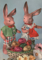 PASQUA CONIGLIO UOVO Vintage Cartolina CPSM #PBO509.IT - Easter