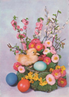 PASQUA UOVO Vintage Cartolina CPSM #PBO191.IT - Easter