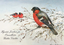 Buon Anno Natale UCCELLO Vintage Cartolina CPSM #PBM753.IT - Nieuwjaar