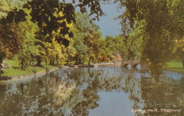 Spring Walks 2, Thetford - Norfolk - Unused Saucy Postcard - National Series -N1 - Norwich