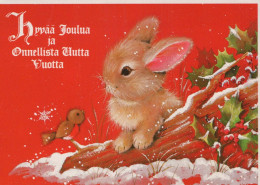 Buon Anno Natale CONIGLIO Vintage Cartolina CPSM #PAV106.IT - Nieuwjaar