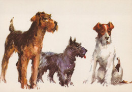 CANE Animale Vintage Cartolina CPSM #PAN649.IT - Perros