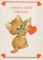 GATTO KITTY Animale Vintage Cartolina CPSM #PAM264.IT - Cats