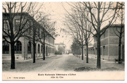 Ecole Nationale Vétérinaire. Allée Du Clos - Maisons Alfort