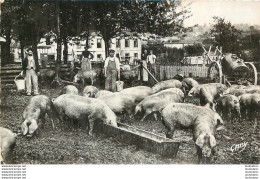 SCENES NORMANDES LES COCHONS - Sonstige & Ohne Zuordnung