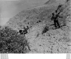 LES COMBATS AU LIBAN CONTRE LES COMMANDOS PALESTINIENS 10/1969  PHOTO KEYSTONE FORMAT 24 X 18 CM - Oorlog, Militair