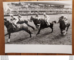 GRANDE PHOTO  DE PRESSE ORIGINALE  LE PROGRES DE LYON COURSE HIPPIQUE  FORMAT 30 X 24 CM - Deportes