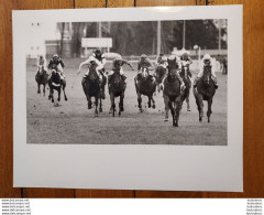 GRANDE PHOTO  DE PRESSE ORIGINALE  LE PROGRES DE LYON COURSE HIPPIQUE  FORMAT 30 X 24 CM R4 - Sports