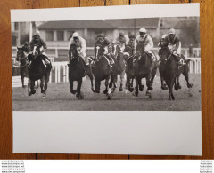 GRANDE PHOTO  DE PRESSE ORIGINALE  LE PROGRES DE LYON COURSE HIPPIQUE  FORMAT 30 X 24 CM R5 - Sports