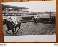 GRANDE PHOTO  DE PRESSE ORIGINALE  LE PROGRES DE LYON COURSE HIPPIQUE  FORMAT 30 X 24 CM R1 - Sports